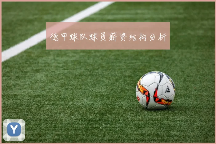 德甲球队球员薪资结构分析