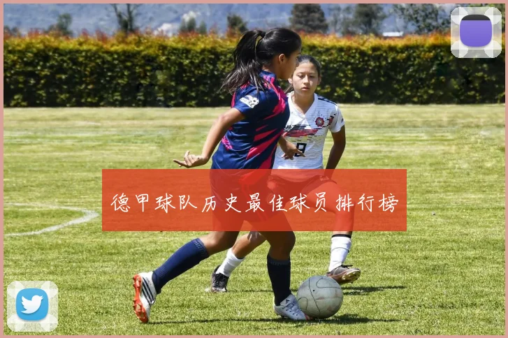 德甲球队历史最佳球员排行榜