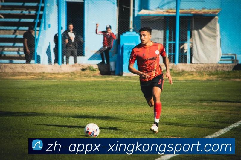 多媒体互动体验