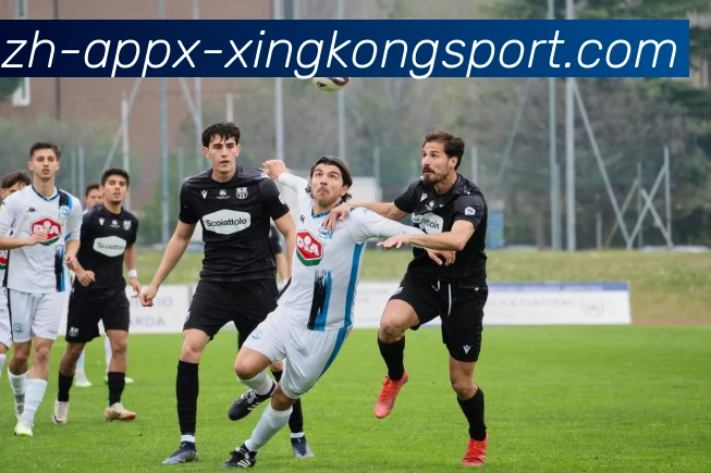 星空体育APP 体育赛事宣传图